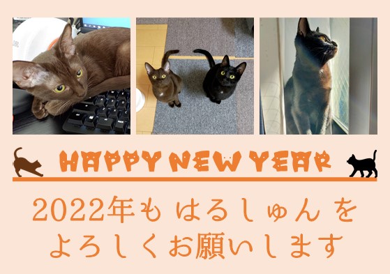 2022年アイキャッチ